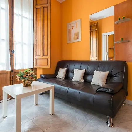 Flor De Lis Apartment *